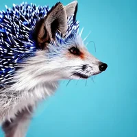 Joshua hedgehog fox