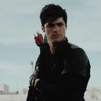 Alec lightwood