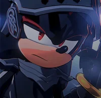 Shadow the Knight