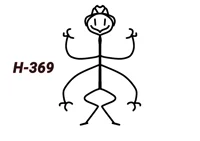H-369