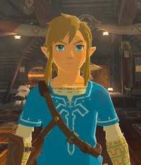 Link - botw