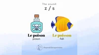 Poisson ou poison
