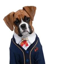 Spark Pup academy