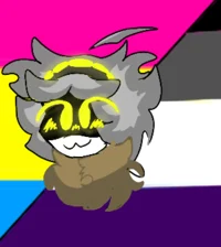 Serial Designation Z