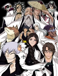 Bleach captains
