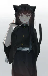 Tokito gato