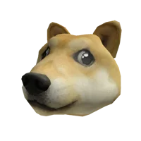 Doge