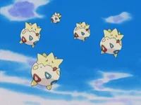 Togepi Babies