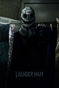 The Launderman