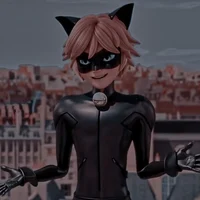 Cat Noir