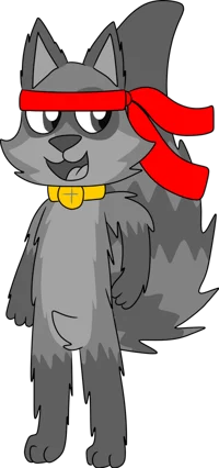 Noah The Gray Racoon