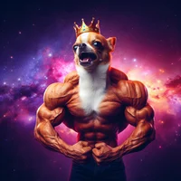 God of Chihuahuas 