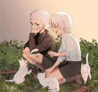 DMC Dante and Vergil