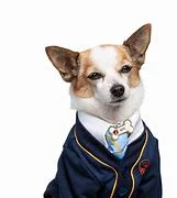BITE Pup academy