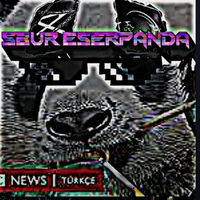 Artpanda