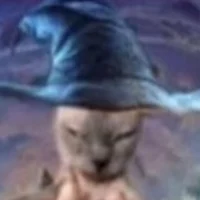 Evil Wizard Cat