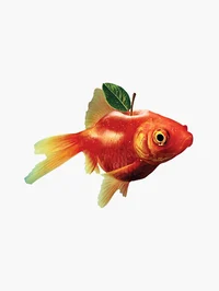 Apple fish
