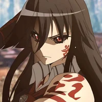 Akame Berserker