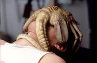 Xenomorph Facehugger