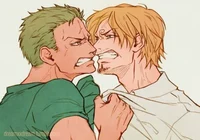 Zoro and Sanji