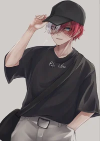 Todoroki Shoto 
