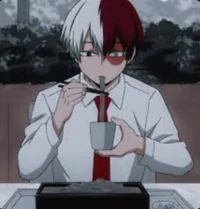 Shoto Todoroki 