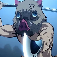 DS Inosuke Hashibira