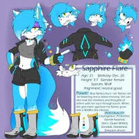 Sapphire the wolf