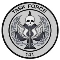 Task Force 141