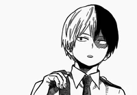 Shoto Todoroki 