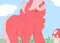 alicorn fluffy pony