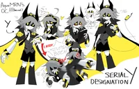 Serial Designation Y