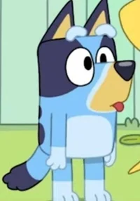Bluey