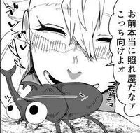 Escarabajo de Sanemi