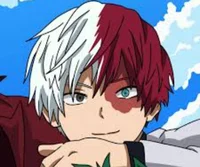 Shoto Todoroki 