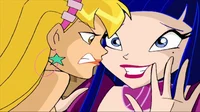 Stella vs chimera