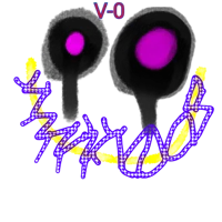 V-0