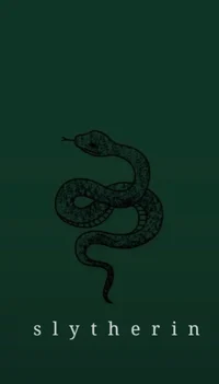 Slytherin boys