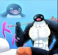 El pingu