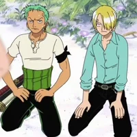 Zoro sanji