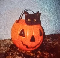 Pumpkin cat