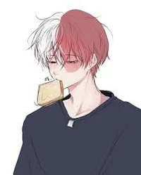 Shoto Todoroki