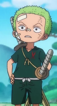 Zoro Kid