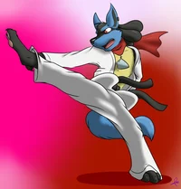 Kung Fu Lucario