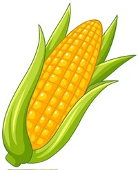 Corn