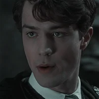 HGW- Tom Riddle