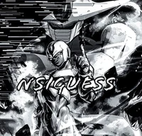 nsiguess 