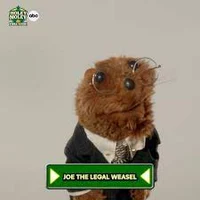 Joe from Legal