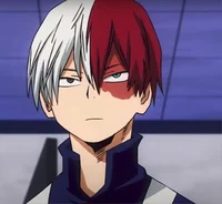 Shoto Todoroki 