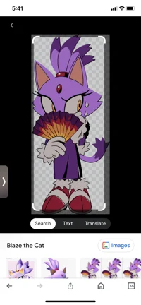 Blaze the cat